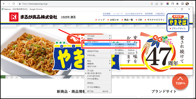 Rapture（おにぎり）の使い方