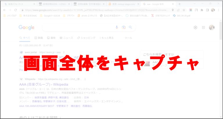 Rapture（おにぎり）の使い方